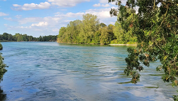 Le projet Rhônergia est abandonné, une victoire pour le fleuve et la biodiversité